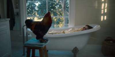 (BIRDS CALL OUT) - Christmas on the Farm