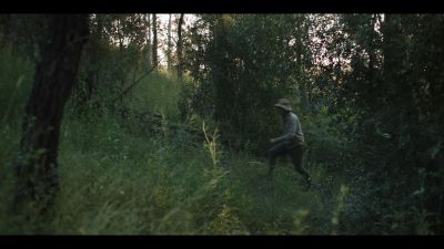 (BIRDS CALL) - Mr Inbetween