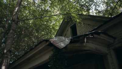 -(BIRDS CALLING)
-(INSECTS BUZZING) - Alabama Snake