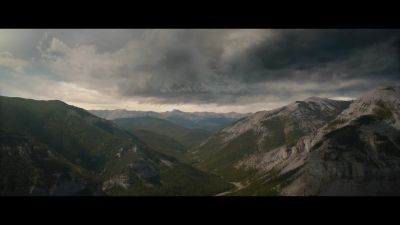 [birds calling] - Prey