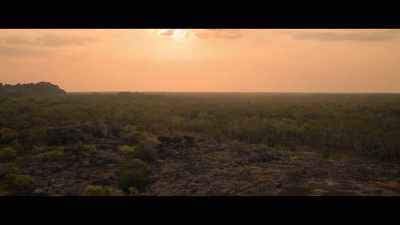 [birds calling] - Territory