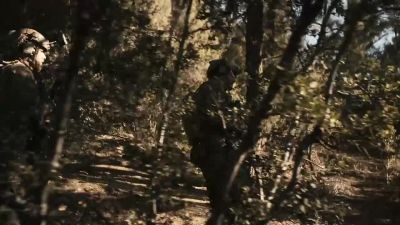 (birds calling) - SEAL Team
