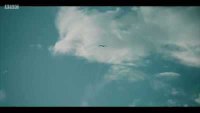 BIRDS CAW - In My Skin
