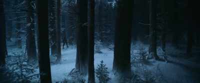 [birds cawing] - A Boy Called Christmas