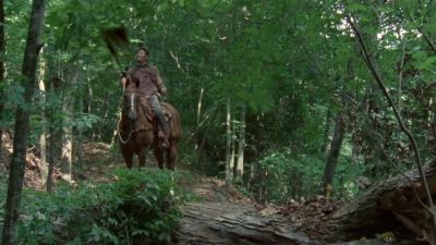 (BIRDS CAWING) - The Walking Dead