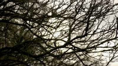 (birds chirp)
(soft tense music) - The Buildings That Fought Hitler