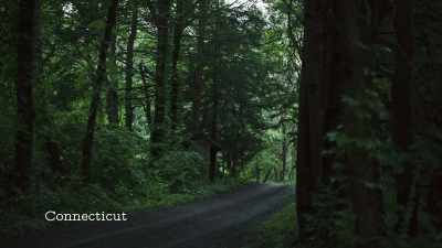 -(birds chirping)
-(car approaching) - Allen v. Farrow