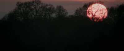 (birds chirping)
(deer snorting) - Sunrise