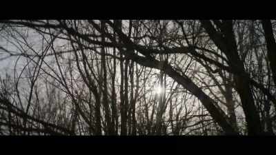[birds chirping] - Wild Indian