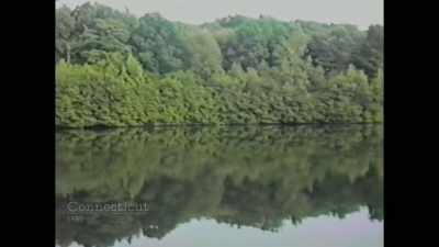 (birds chirping) - Allen v. Farrow