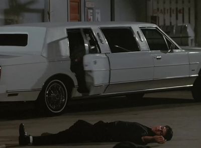 [Birds chirping] - Miami Vice