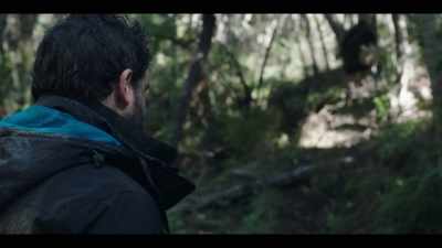 [ Birds chirping ] - The Sounds