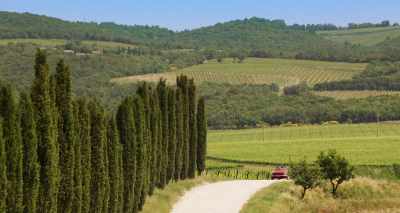 (birds chirping) - Made in Italy