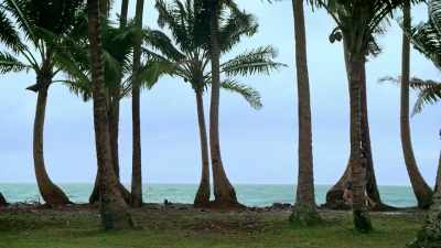 [birds chirping] - Retreat to Paradise