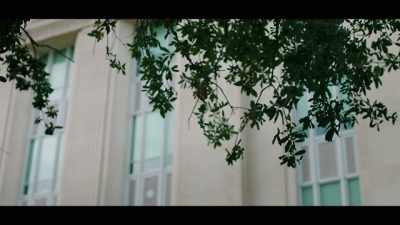 [birds chirping] - McMillion$