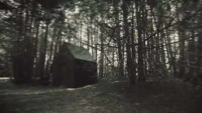 (Birds chirping) - Unabomber: In His Own Words