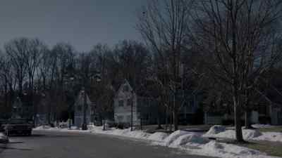 [ BIRDS CHIRPING ] - The Americans