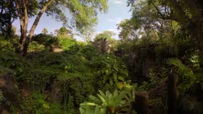 (BIRDS CHIRPING) - Magic of Disney's Animal Kingdom