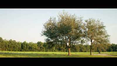 [birds chirping] - Reprisal