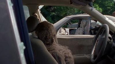 [Birds chirping] - The Walking Dead