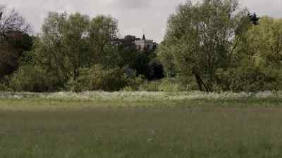 (birds chirping) - Grantchester