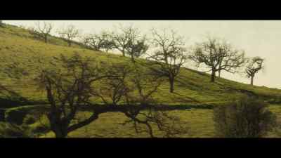 (birds chirping) - Legion