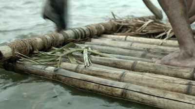 birds-chirping - Origins: The Journey of Humankind