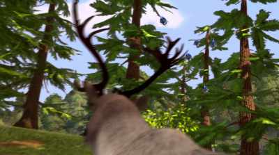 [birds chirping] - Alpha & Omega: Journey to Bear Kingdom