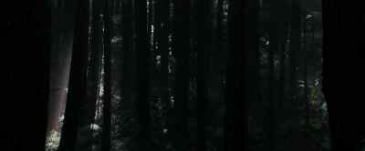 (BIRDS CHIRPING) - Pete's Dragon