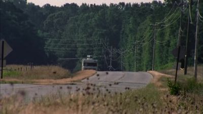 ( birds chirping ) - The Walking Dead