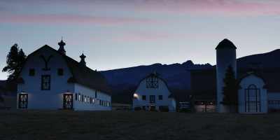 (BIRDS CHIRPING) - Yellowstone