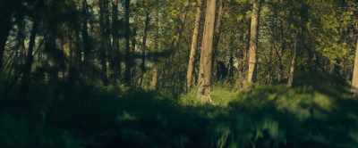 [birds chirping] - The Marsh King's Daughter