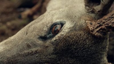 [Birds chirping] - Fear the Walking Dead