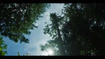 [birds chirping] - Earth Abides