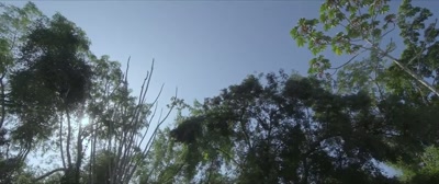 [birds chirping] - A Life Too Short: The Isabella Nardoni Case