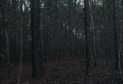 [birds chirping] - The Integrity of Joseph Chambers