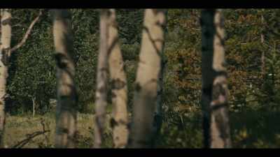 [birds chirping] - Billy the Kid