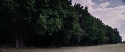 [birds chirping] - A Banquet
