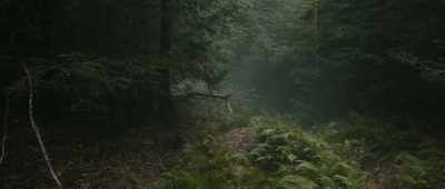 [birds chirping] - Lost on a Mountain in Maine