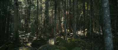 [birds chirping] - Lost on a Mountain in Maine