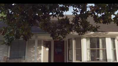 (birds chirping) - Girl in the Video
