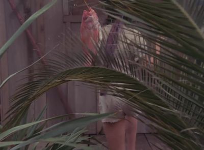 [birds chirping] - The A-Team