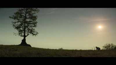 [birds chirping] - Percy Jackson and the Olympians