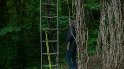 (birds chirping) - Trees and Other Entanglements