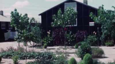 (birds chirping) - Trees and Other Entanglements
