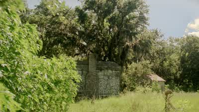 MAN: Them flies are gettin' thick. - True Detective