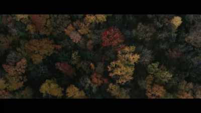 (Birds chirping) - Trigger Point