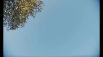 [BIRDS CHIRPING] - Mothering Sunday
