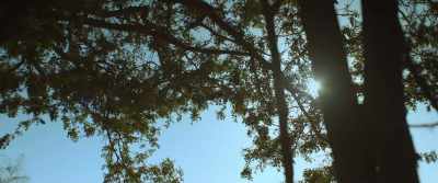 [birds chirping] - Echo 3