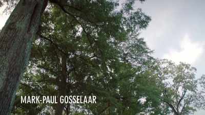 (birds chirping and squawking) - The Passage